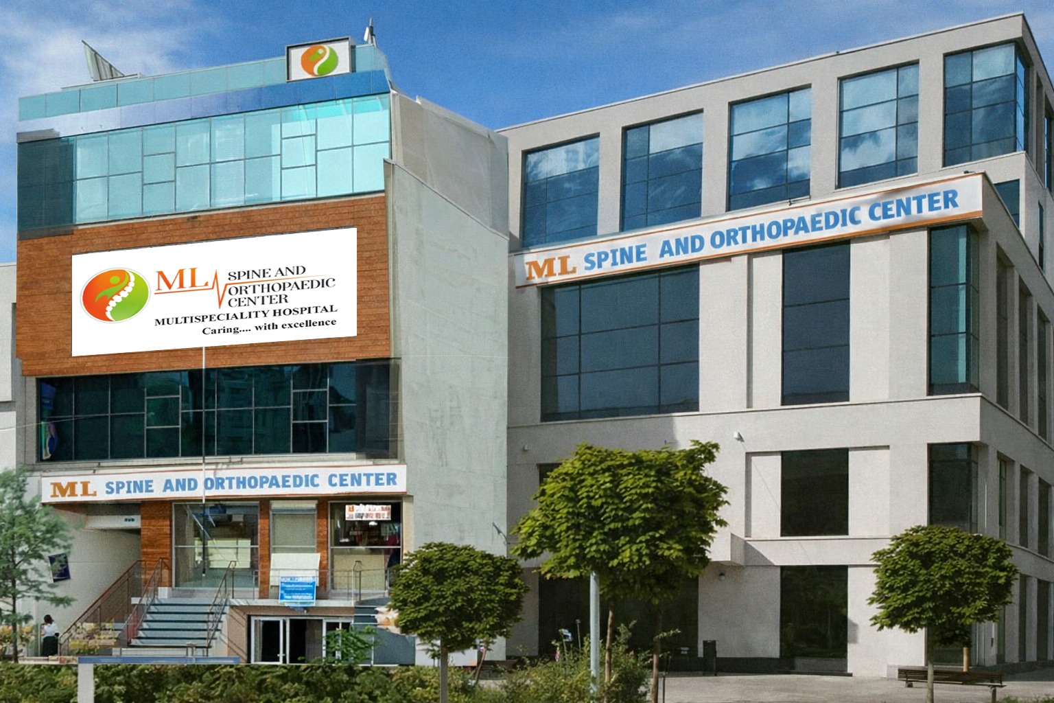 ML Spine and Orthopaedics Doctor Team